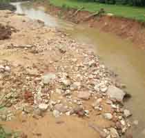 免費(fèi)鋪樣支持-門窗十大品牌